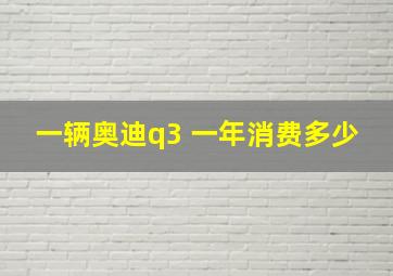 一辆奥迪q3 一年消费多少